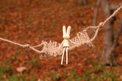 �H�̂����Q