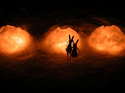 ��̃L�����h��