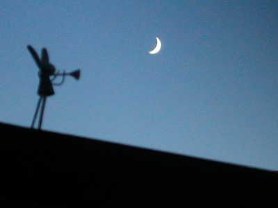 �O�����̖�