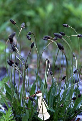 �w���I�I�o�R