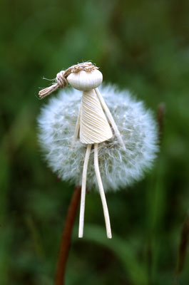 �^���|�|�Ȗ�